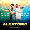 About Aleatório Song