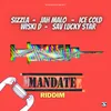 Mandate Riddim Instrumental