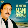 Ae Kudha Mani Zindagi