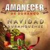 Amarga Navidad