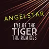 Eye of the Tiger Radio Edit