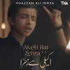 About Akeli Hai Zehra S A Song