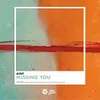 About Missing You Extended Mix Song