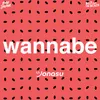 About Wannabe Song