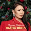 About Жаңа жыл Song