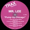 Pump Up Chicago Acid Mix