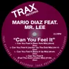 Can You Feel It New York Mix