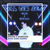 About Bass Goes Down Song