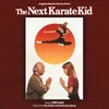 About The Next Karate Kid Song