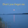 About Don´t You Forget Me Song