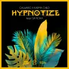 About Hypnotize (feat. Gia Koka) Song