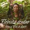 About Floresta Dentro Song