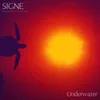 Underwater (NDNL Remix)