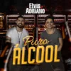 About Puro Alcool Song