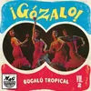 Las Guitarras Tropicales