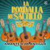About Amante a la Antigua Song