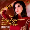 About Saday Sajan Naraz Ho Gaye Song