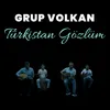 About Türkistan Gözlüm Song