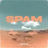 About Spam Song