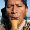 Mapuche Mongen