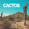 About Cactos Song