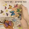 About כנפי פרפרים Song