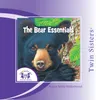 The Bear Essentials Wrap Up