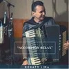 About Accordion Relax Song