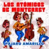 About Pájaro Amarillo Song