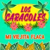 About Mi Viejita Flaca Song