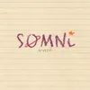 About Somni Song