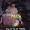 About Carla Song