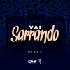 About Vai Sarrando Song