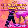 About Río Mamore Song