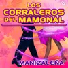 About Manizaleña Song