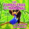 About La Frutica de Naranja Song