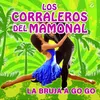 About La Bruja a Go Go Song
