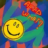 About Acid What? Song