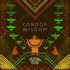 Condor Wisdom Melodica Version