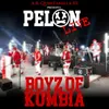 About Pelón Live Song