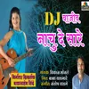 Dj Vajiv Nachu De Sari