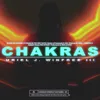 About Chakras Song