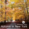 Autumn in New York