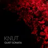 About Quiet Sonata Song