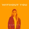 Without You