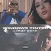 About Windows Tinted Song