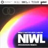 Niwl Roughion Remix