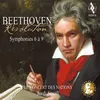 Symphony No. 9 in D Minor, Op. 125 "Choral": III. Adagio molto e cantabile