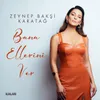 About Bana Ellerini Ver Song
