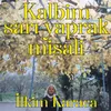 About Kalbim Sarı Yaprak Misali Song